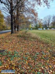 Tarnów działka budowlana 11 ar Sanguszków - Obrazek 1