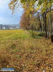 Tarnów działka budowlana 11 ar Sanguszków - Obrazek 3