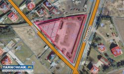 Brzozówka-budynek użytkowy 880m2 - Obrazek 3