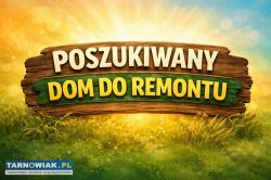 Poszukiwane gospodarstwo - dom do remontu ! - Obrazek 1