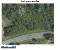 Działka rolna Szczepanowice - Obrazek 4