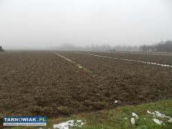 Sprzedam działke rolną - Obrazek 1