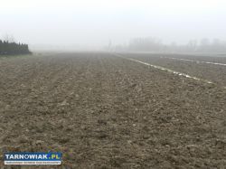 Sprzedam działke rolną - Obrazek 2