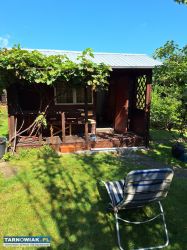 Sprzedam działkę ROD Komunalnik - Obrazek 1