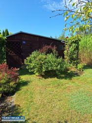 Sprzedam działkę ROD Komunalnik - Obrazek 2