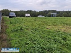 3 sąsiednie działki! 1 z 4 już sprzedana - Obrazek 3