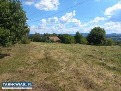 3 sąsiednie działki! 1 z 4 już sprzedana - Obrazek 3