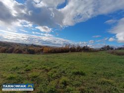 Sprzedał działkę 2,49ha w Tuchowie - Obrazek 2