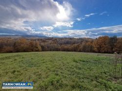 Sprzedał działkę 2,49ha w Tuchowie - Obrazek 1