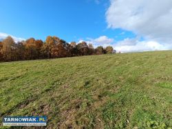 Sprzedał działkę 2,49ha w Tuchowie - Obrazek 3