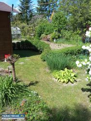 Działka rekreacyjna rod - Obrazek 1