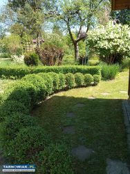 Działka rekreacyjna rod - Obrazek 2