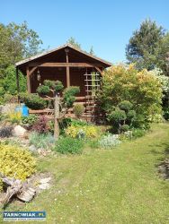 Działka rekreacyjna rod - Obrazek 3