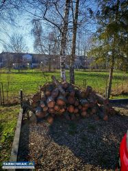 Sprzedam ok. 130 sztuk metrowych kawałków świerka - Obrazek 1