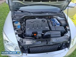Skoda Octavia II - Obrazek 3
