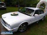 Samochód do ślubu Jaguar XJ6 - Obrazek 3