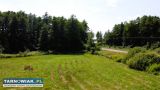 Działka inwest. gm. Szczucin - Obrazek 3