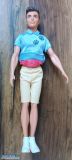 Barbie Zestaw Ken kariera zawodowa Psi trener - Obrazek 2