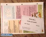 Leśne przygody kolekcja zestaw kart  DeAgostini  - Obrazek 3