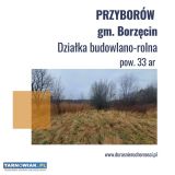 Przyborów działka 33 ar - Obrazek 1