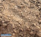 Ziemia na podniesienie terenu  - Obrazek 1