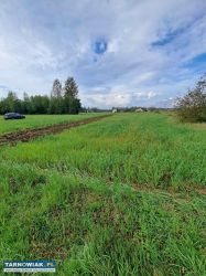 Opacionka działka 13 ar - Obrazek 3