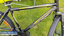 Rower 26 Bergsteiger Denver rama 19 cali - Obrazek 2