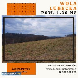 Wola Lubecka działka 1,20 ha - Obrazek 1