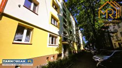 Centrum przy D.H Świt - Obrazek 1