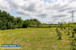 Działka rolno-budowlana w Biadolinach Radłowskich! - Obrazek 1