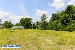 Działka rolno-budowlana w Biadolinach Radłowskich! - Obrazek 3