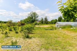 Działka rolno-budowlana w Biadolinach Radłowskich! - Obrazek 4