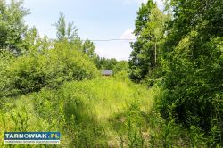 Działka budowlana Bielcza- gmina Borzęcin! - Obrazek 1