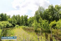 Działka budowlana Bielcza- gmina Borzęcin! - Obrazek 3