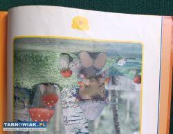 Miś Rupert Rupert i gwiazdeczka - Obrazek 2