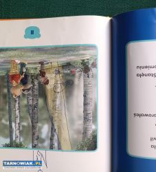 Miś Rupert Rupert i gwiazdeczka - Obrazek 3