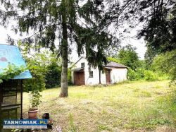 Dom - Dąbrowa Tarnowska - Obrazek 2