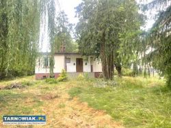 Dom - Dąbrowa Tarnowska - Obrazek 1