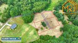 budowlane przy lesie - Obrazek 1