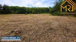 budowlane przy lesie - Obrazek 2