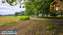 budowlane przy lesie - Obrazek 4