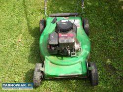 Kosiarka spalinowa niemiecka. - Obrazek 2