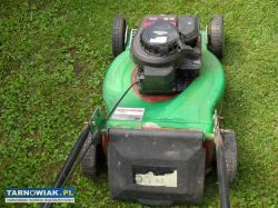 Kosiarka spalinowa niemiecka. - Obrazek 4