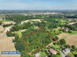 Działka 81 arów w Świebodzinie gm. Tuchów - Obrazek 2