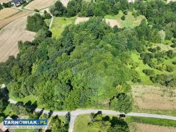 Działka 81 arów w Świebodzinie gm. Tuchów - Obrazek 3