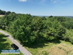 Działka 81 arów w Świebodzinie gm. Tuchów - Obrazek 4