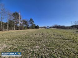 Działka 20 ar Luszowice - Obrazek 4