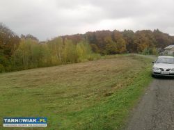 Działka budowlana 45a Dąbrówka Szczepanowska - Obrazek 3