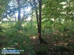 Działka budowlana Wola Rzędzińska - Obrazek 4