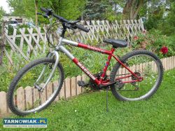 Rower damski 26 i 24 cale. - Obrazek 4